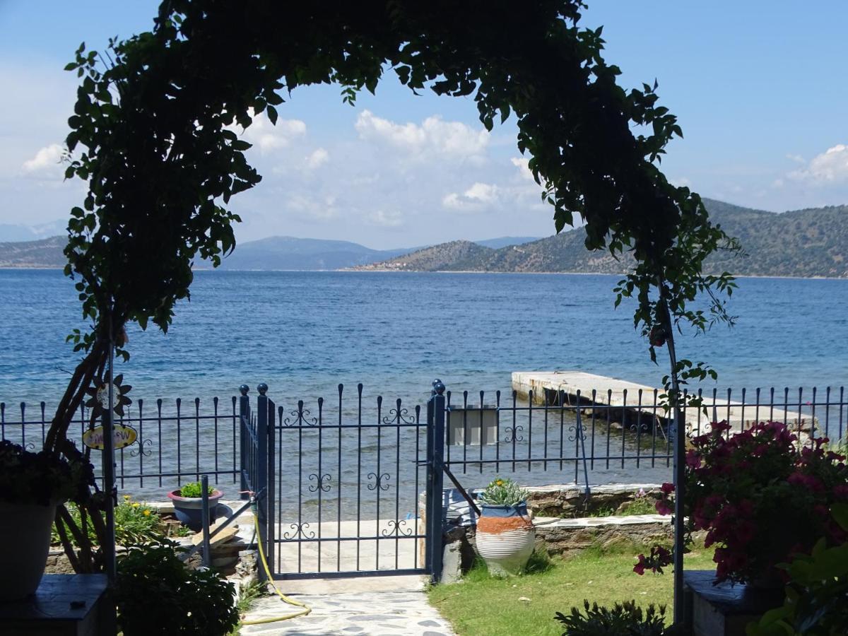Blue Dreams Guest House Almiropótamos Екстериор снимка