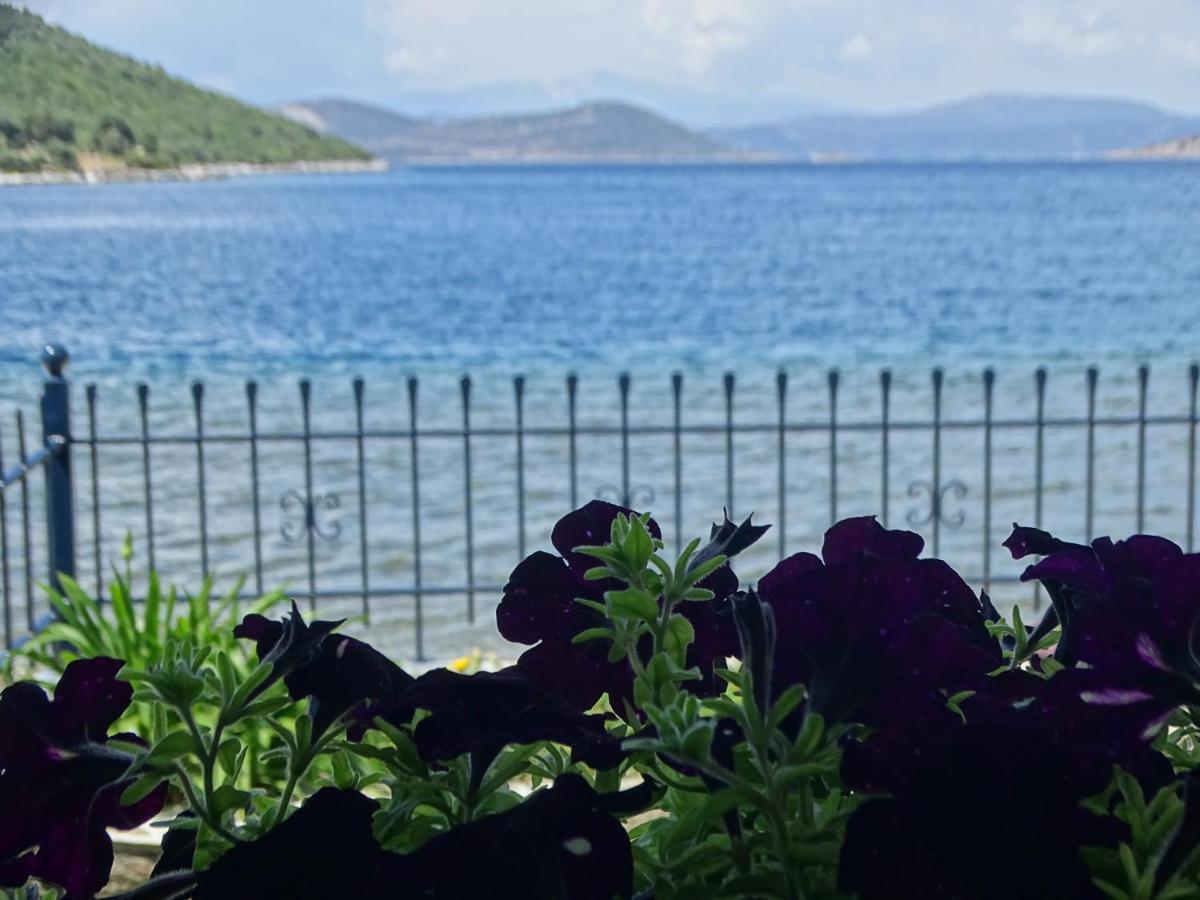 Blue Dreams Guest House Almiropótamos Екстериор снимка