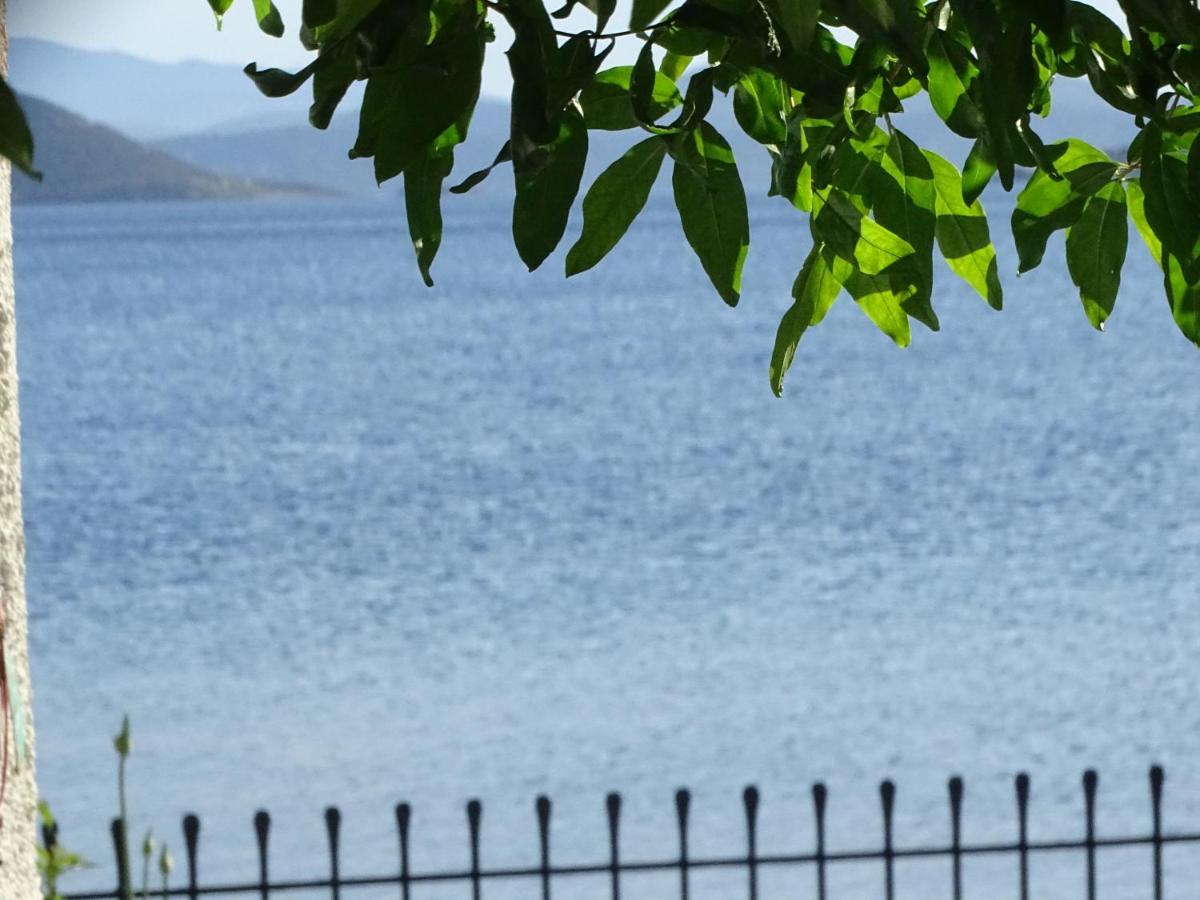 Blue Dreams Guest House Almiropótamos Екстериор снимка
