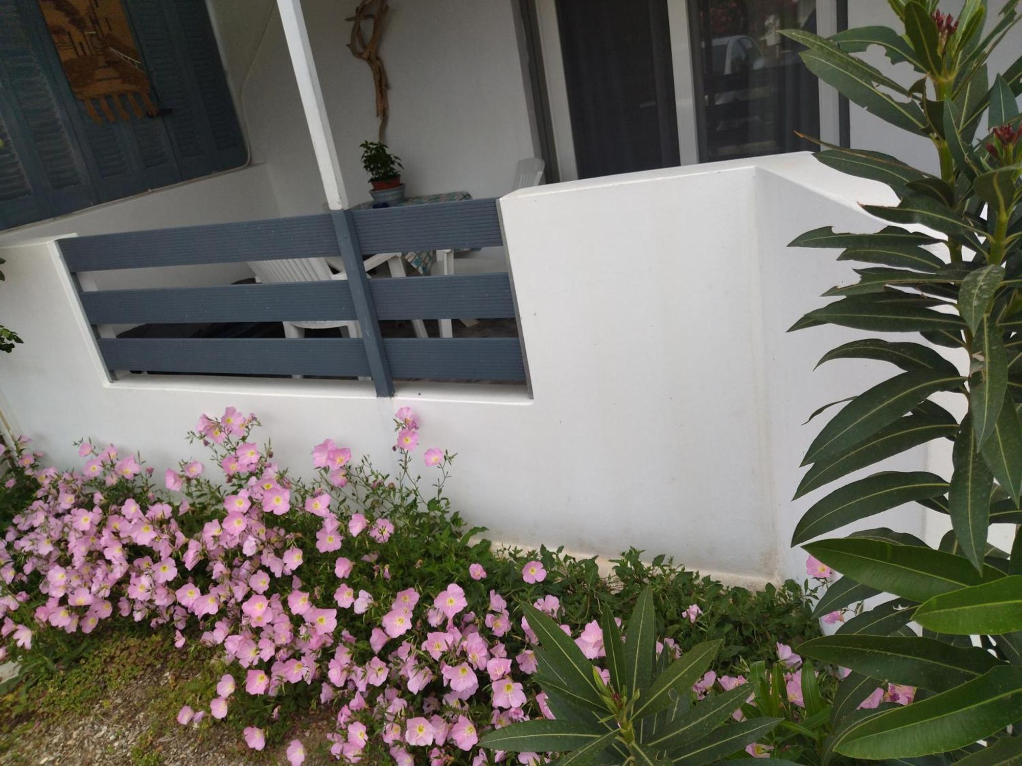 Blue Dreams Guest House Almiropótamos Стая снимка
