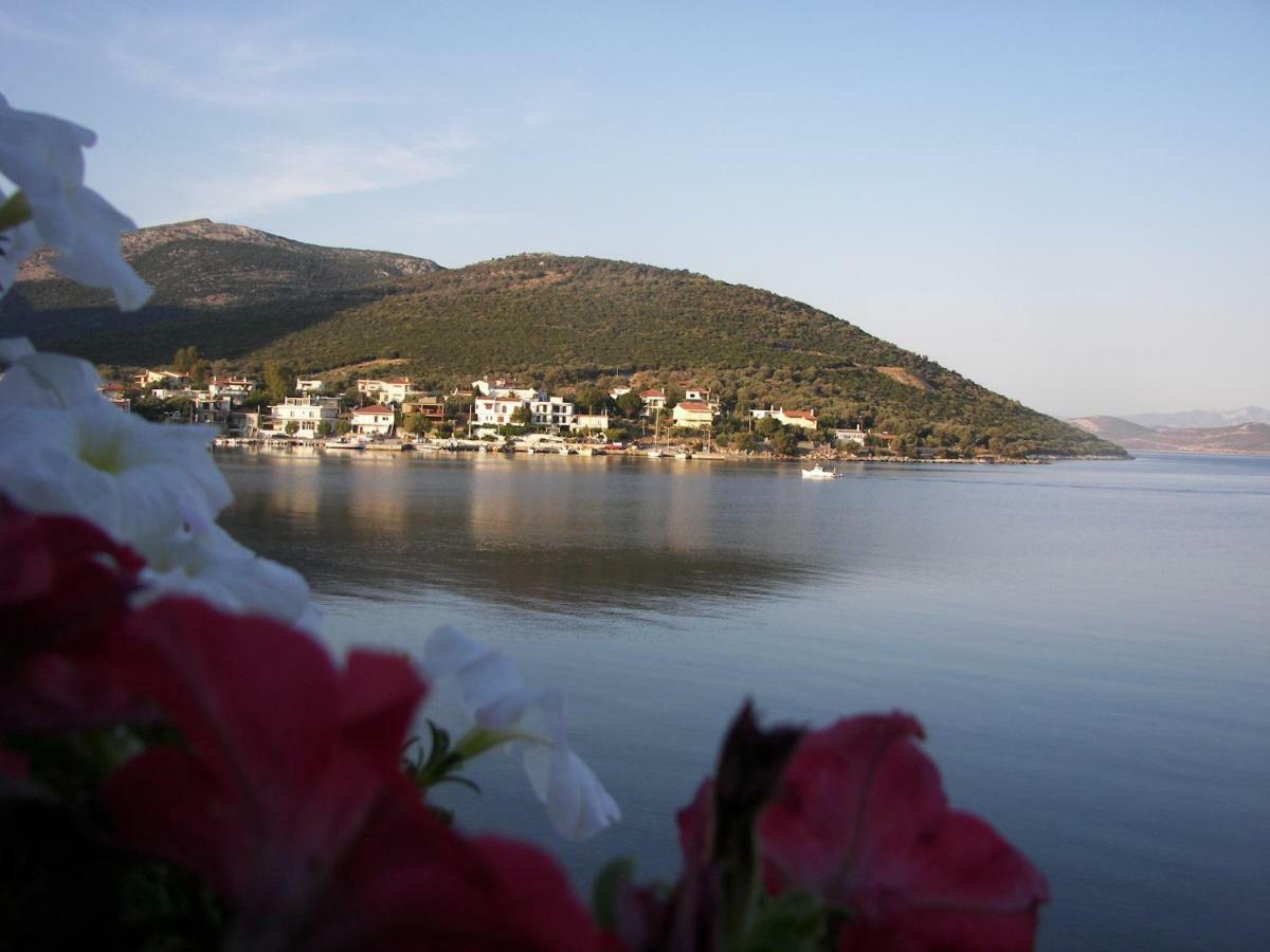 Blue Dreams Guest House Almiropótamos Екстериор снимка