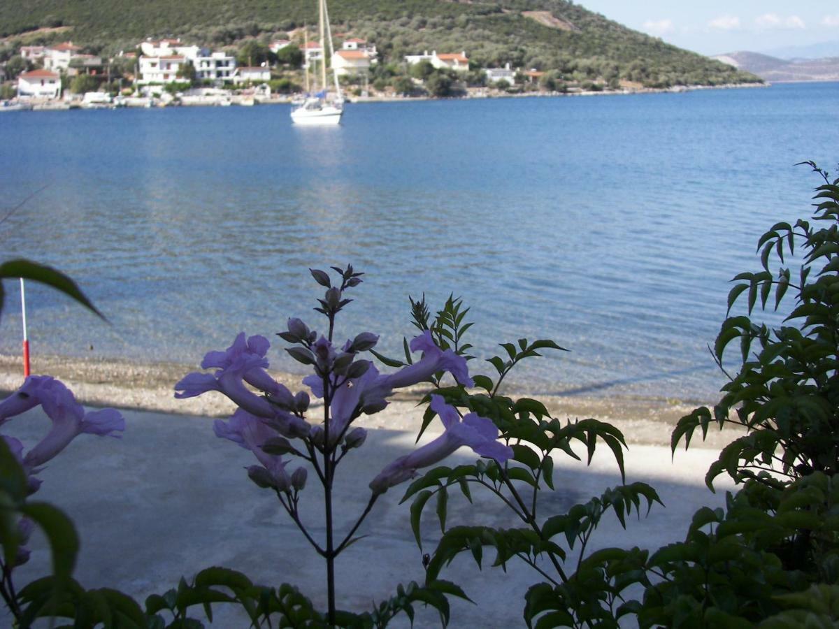 Blue Dreams Guest House Almiropótamos Екстериор снимка