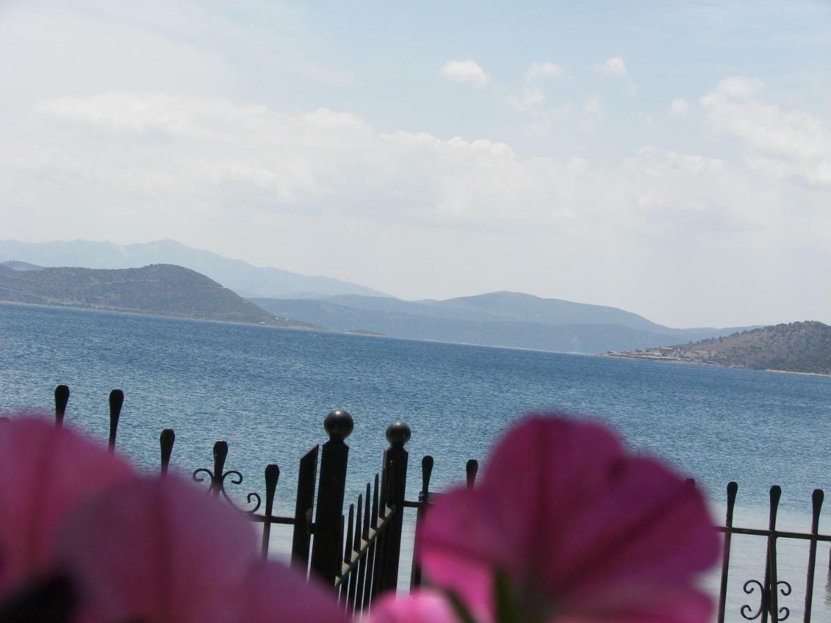 Blue Dreams Guest House Almiropótamos Екстериор снимка