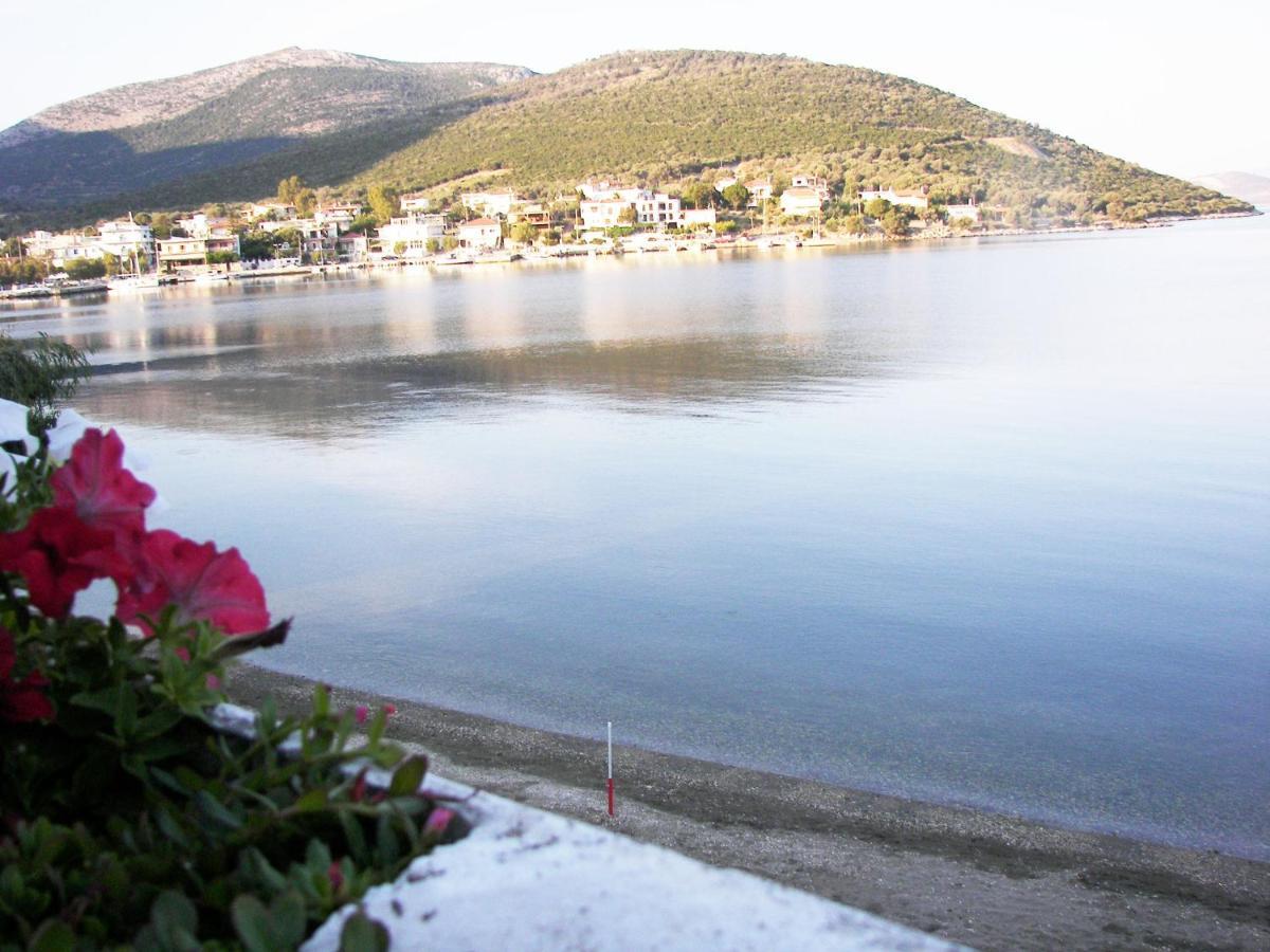 Blue Dreams Guest House Almiropótamos Екстериор снимка